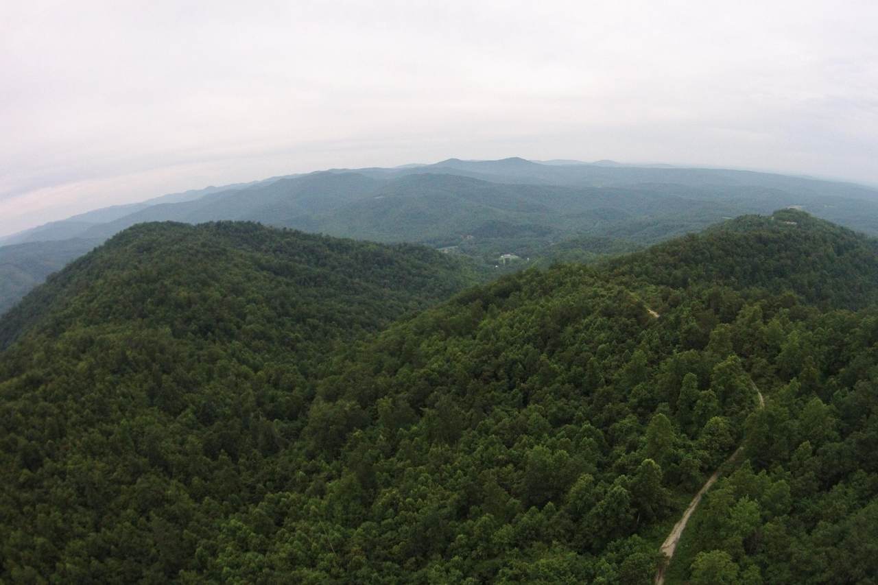 1 Straight Fork Road - Photo 1