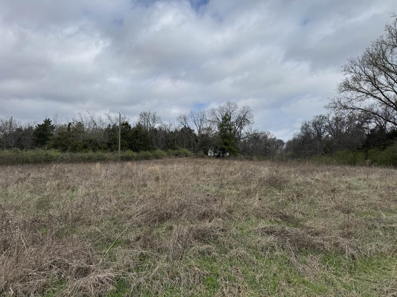 1219 S Dickerson Rd - Photo 1