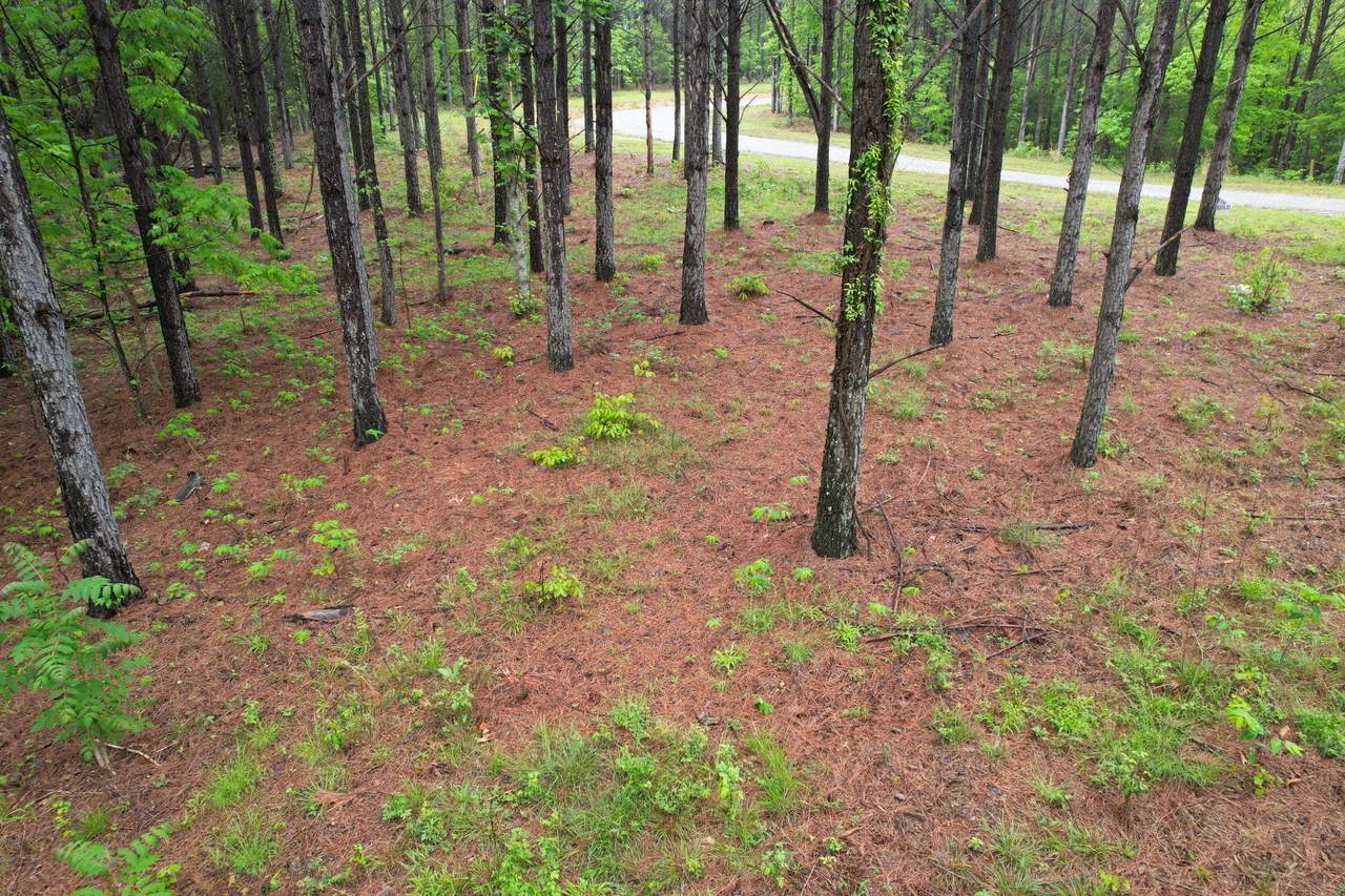 628 Starlight Dr - Photo 1