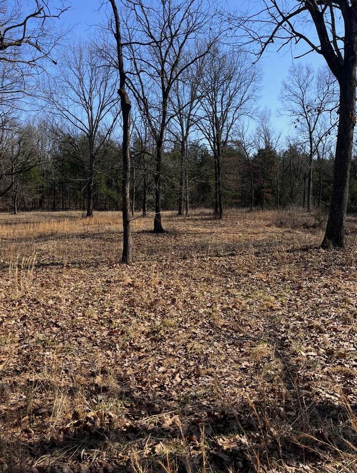 0 E Pitts Ln - Photo 1