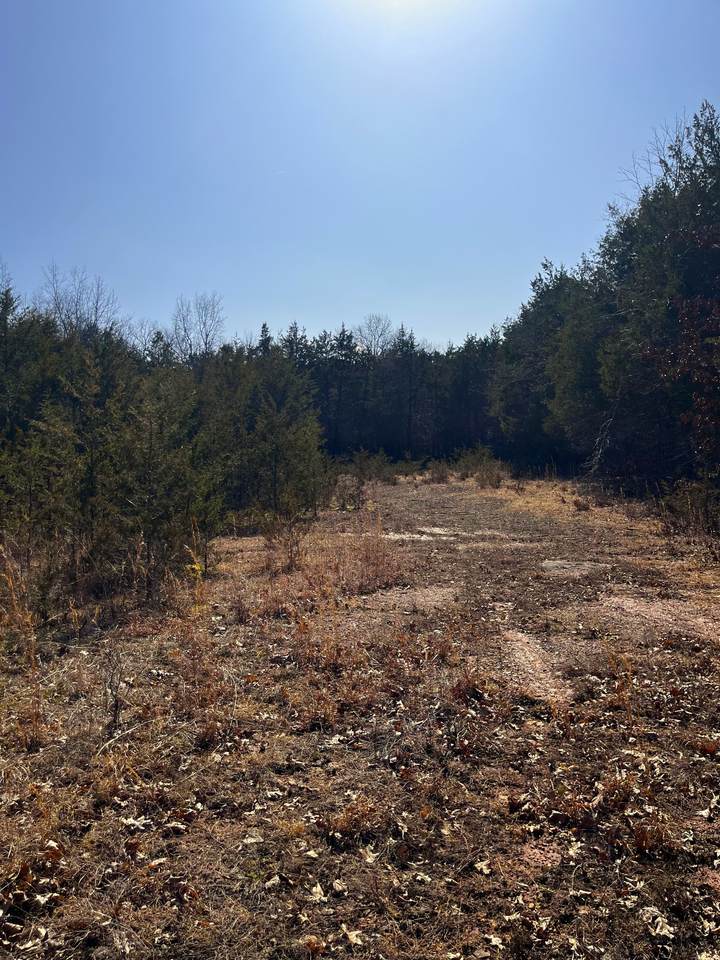 https://bt-photos.global.ssl.fastly.net/nashville/1280_boomver_1_RTC3146895-1.jpg