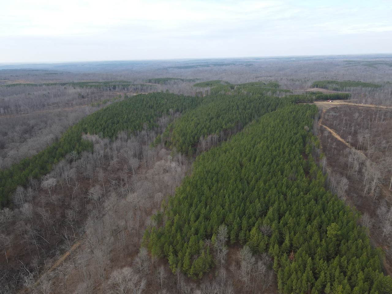 https://bt-photos.global.ssl.fastly.net/nashville/1280_boomver_1_RTC3146963-1.jpg