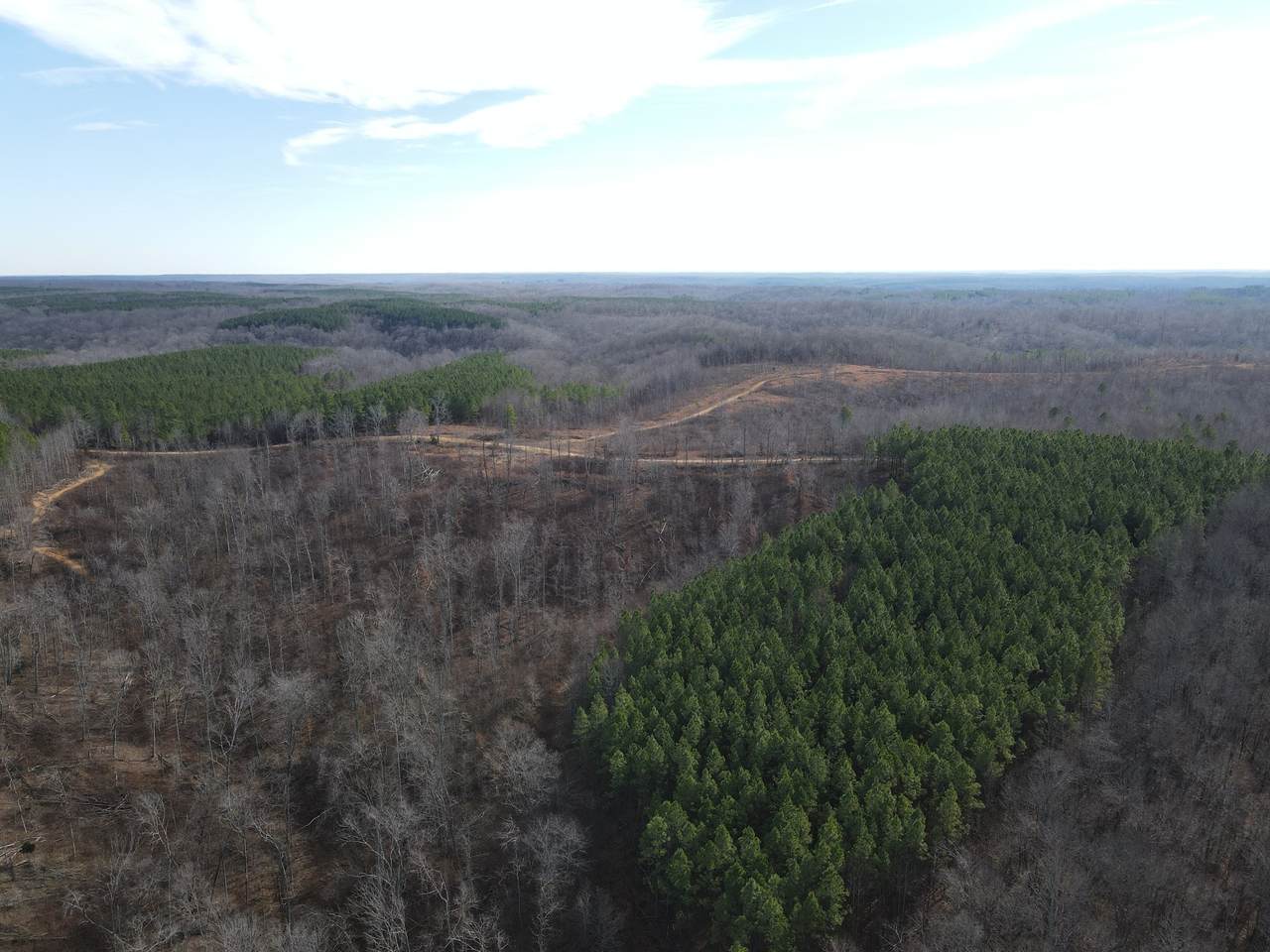 https://bt-photos.global.ssl.fastly.net/nashville/1280_boomver_1_RTC3146973-1.jpg