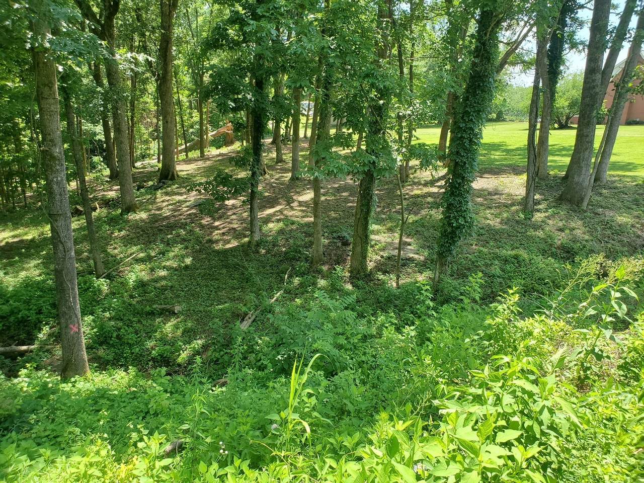 https://bt-photos.global.ssl.fastly.net/nashville/1280_boomver_1_RTC3147091-1.jpg