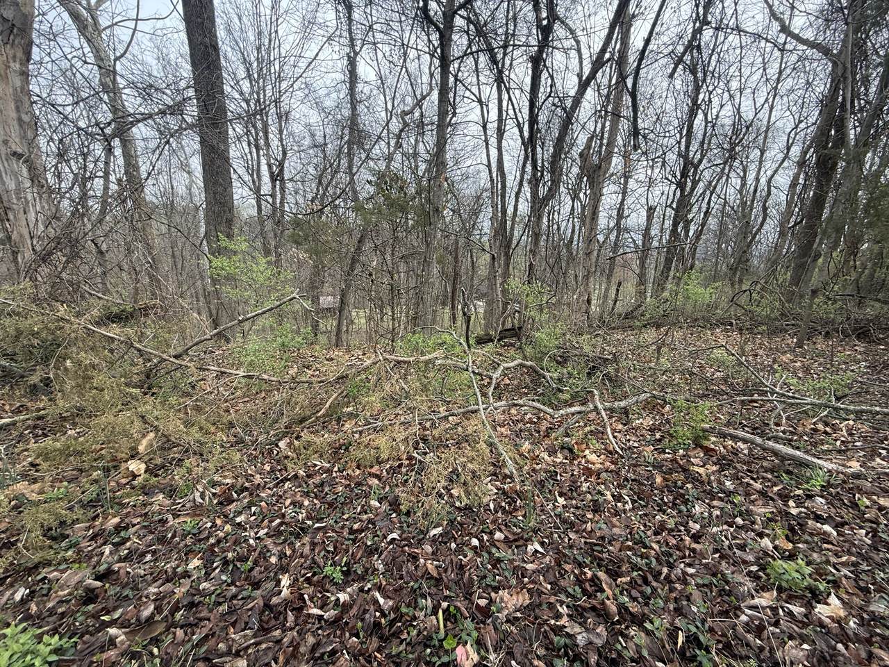 1915 Appomattox Dr - Photo 1