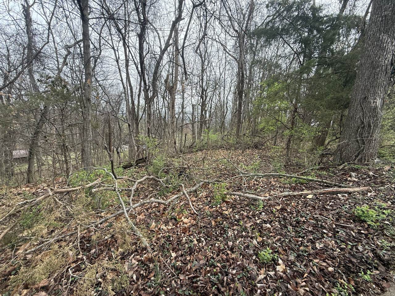 https://bt-photos.global.ssl.fastly.net/nashville/1280_boomver_1_RTC3147093-1.jpg