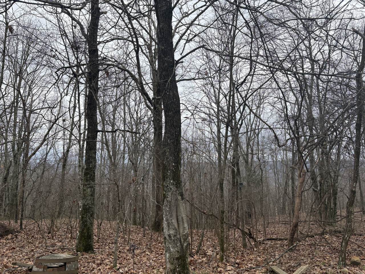 0 Nancy Wynn Ln - Photo 1