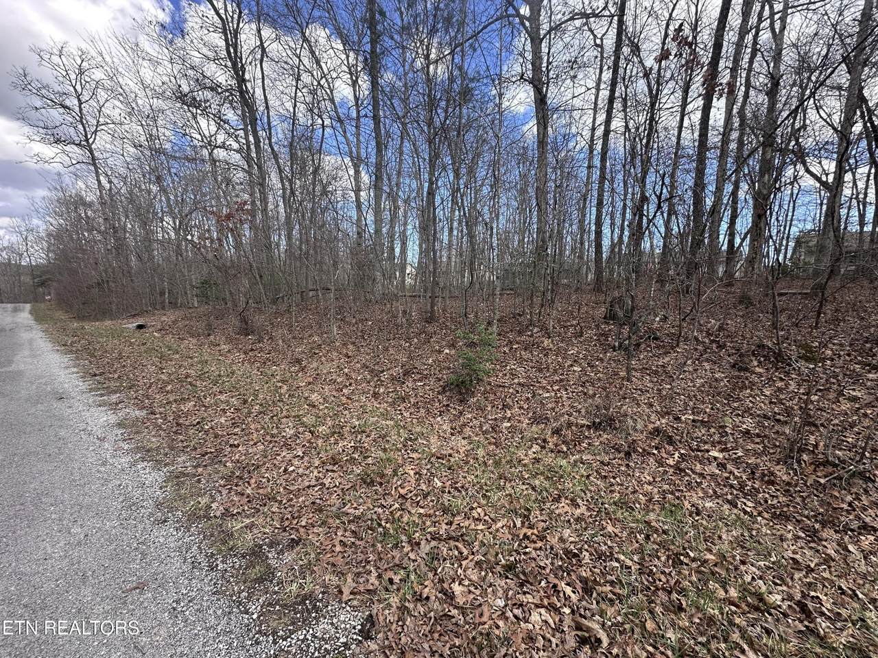 https://bt-photos.global.ssl.fastly.net/nashville/1280_boomver_1_RTC3147315-1.jpg