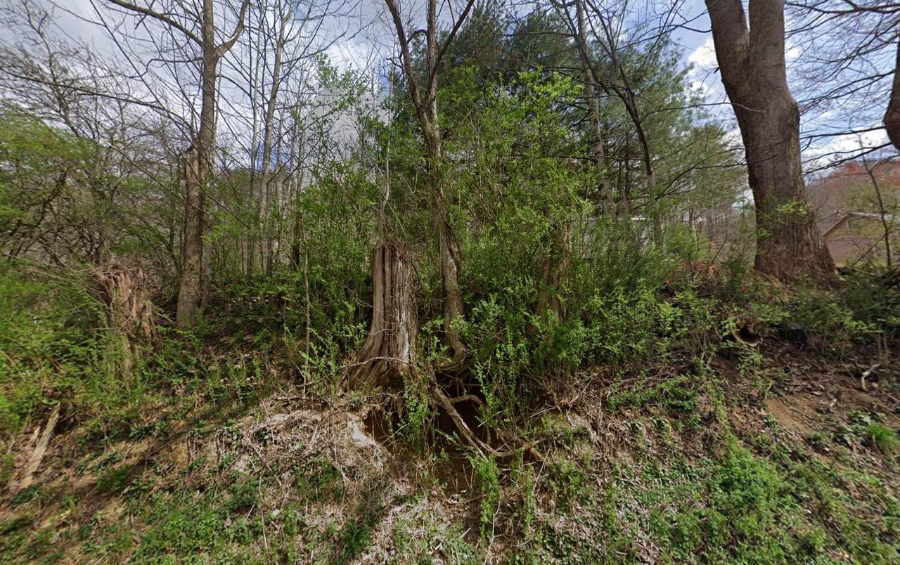 https://bt-photos.global.ssl.fastly.net/nashville/1280_boomver_1_RTC3147323-1.jpg