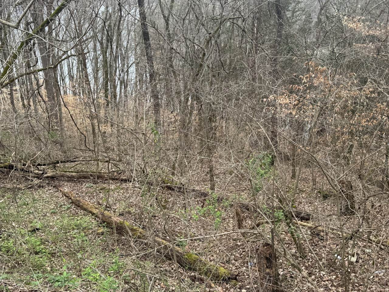 0 Lakeside Dr - Photo 1