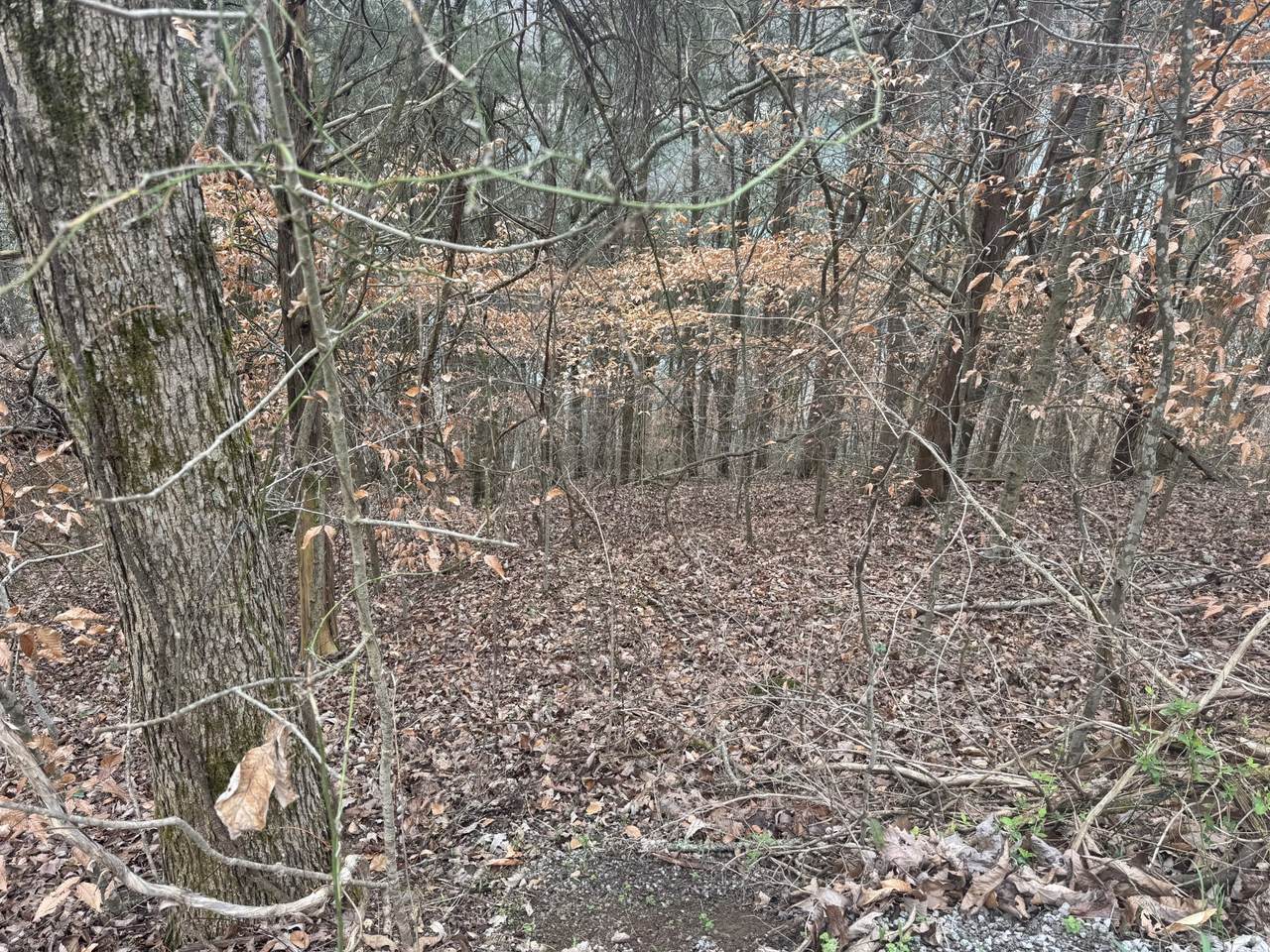 https://bt-photos.global.ssl.fastly.net/nashville/1280_boomver_1_RTC3147363-1.jpg