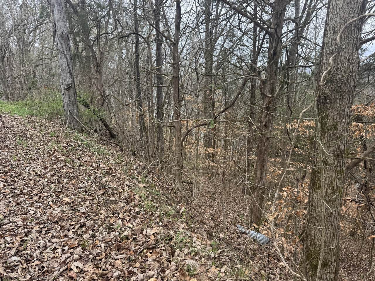 https://bt-photos.global.ssl.fastly.net/nashville/1280_boomver_1_RTC3147363-1.jpg