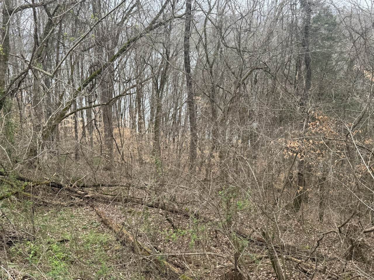 https://bt-photos.global.ssl.fastly.net/nashville/1280_boomver_1_RTC3147363-1.jpg