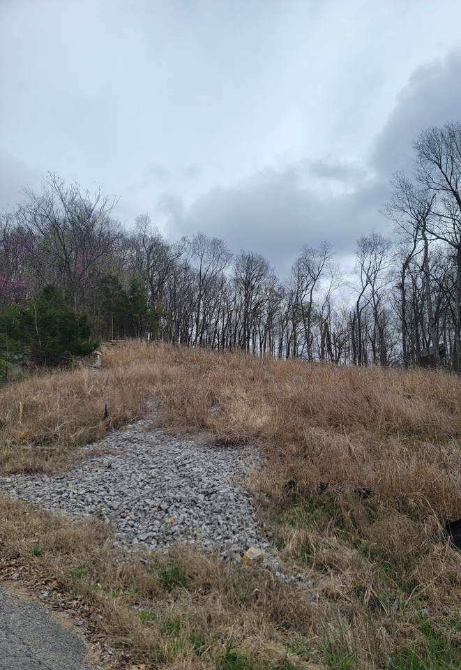 https://bt-photos.global.ssl.fastly.net/nashville/1280_boomver_1_RTC3147384-1.jpg