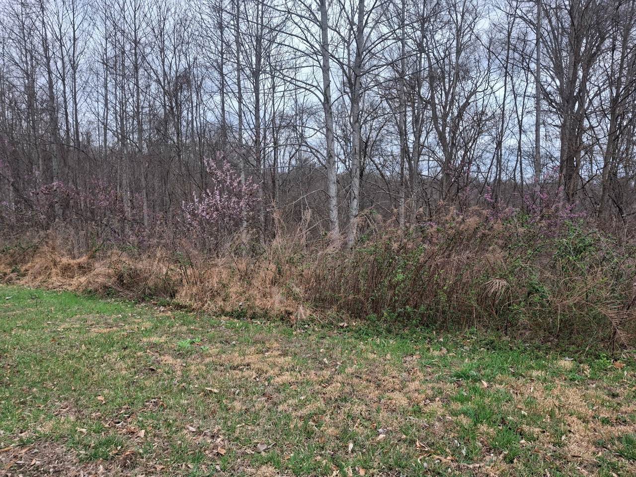 https://bt-photos.global.ssl.fastly.net/nashville/1280_boomver_1_RTC3147397-1.jpg