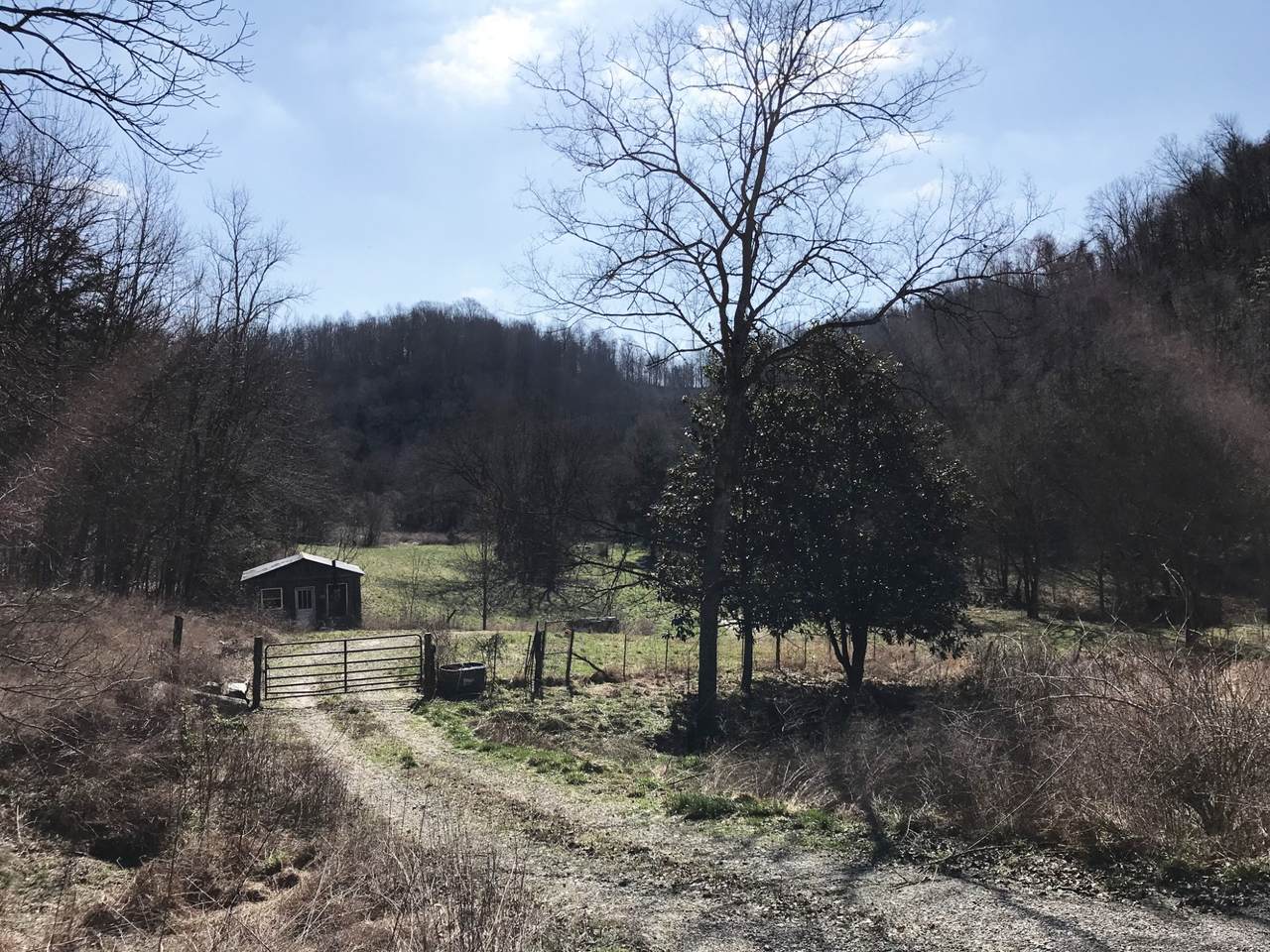 https://bt-photos.global.ssl.fastly.net/nashville/1280_boomver_1_RTC3147576-1.jpg