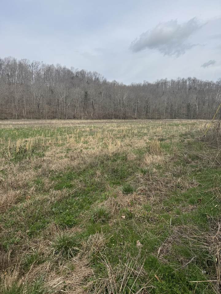 1234 Puncheon Creek Road - Photo 1