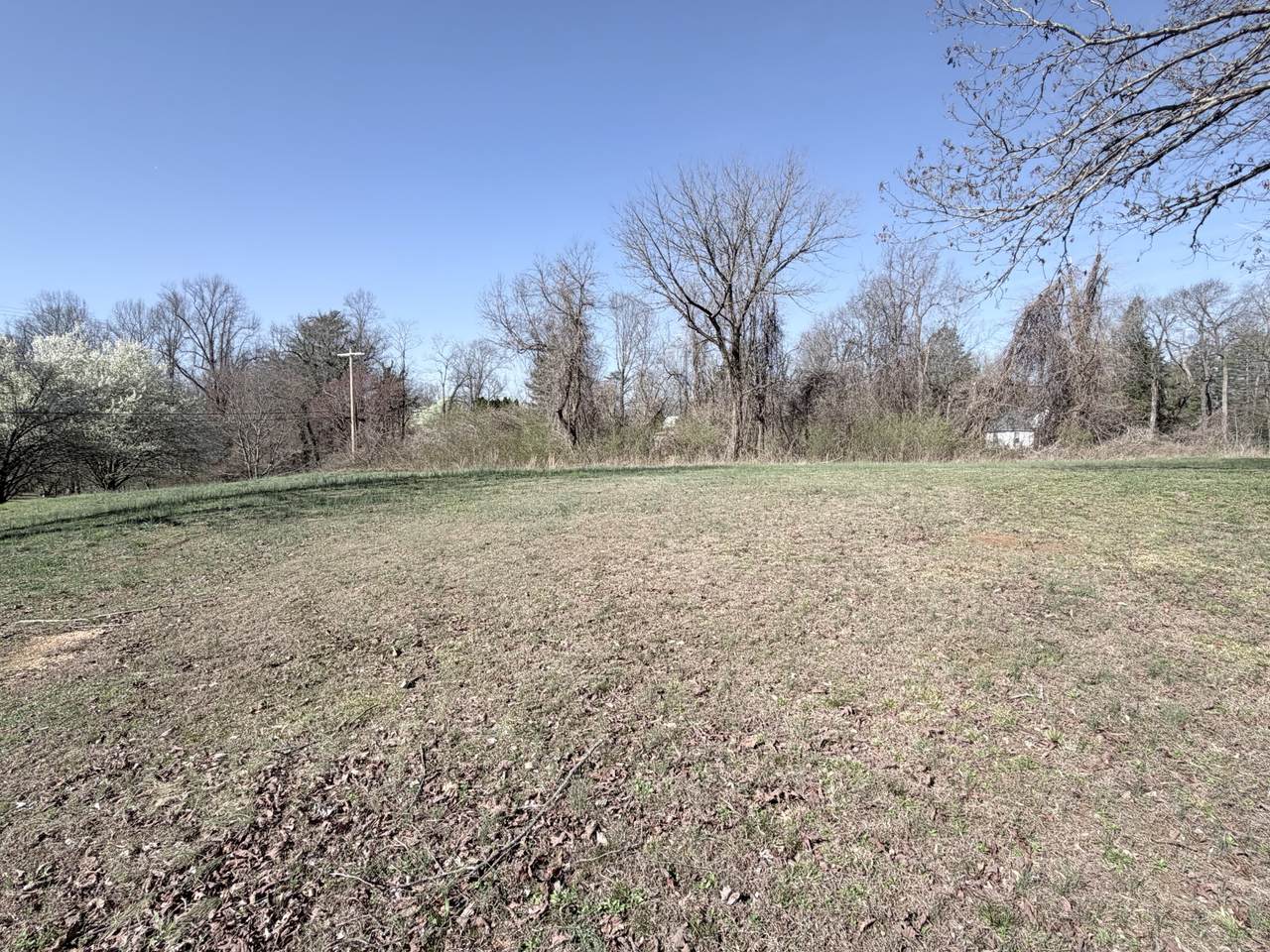 https://bt-photos.global.ssl.fastly.net/nashville/1280_boomver_1_RTC3147968-1.jpg