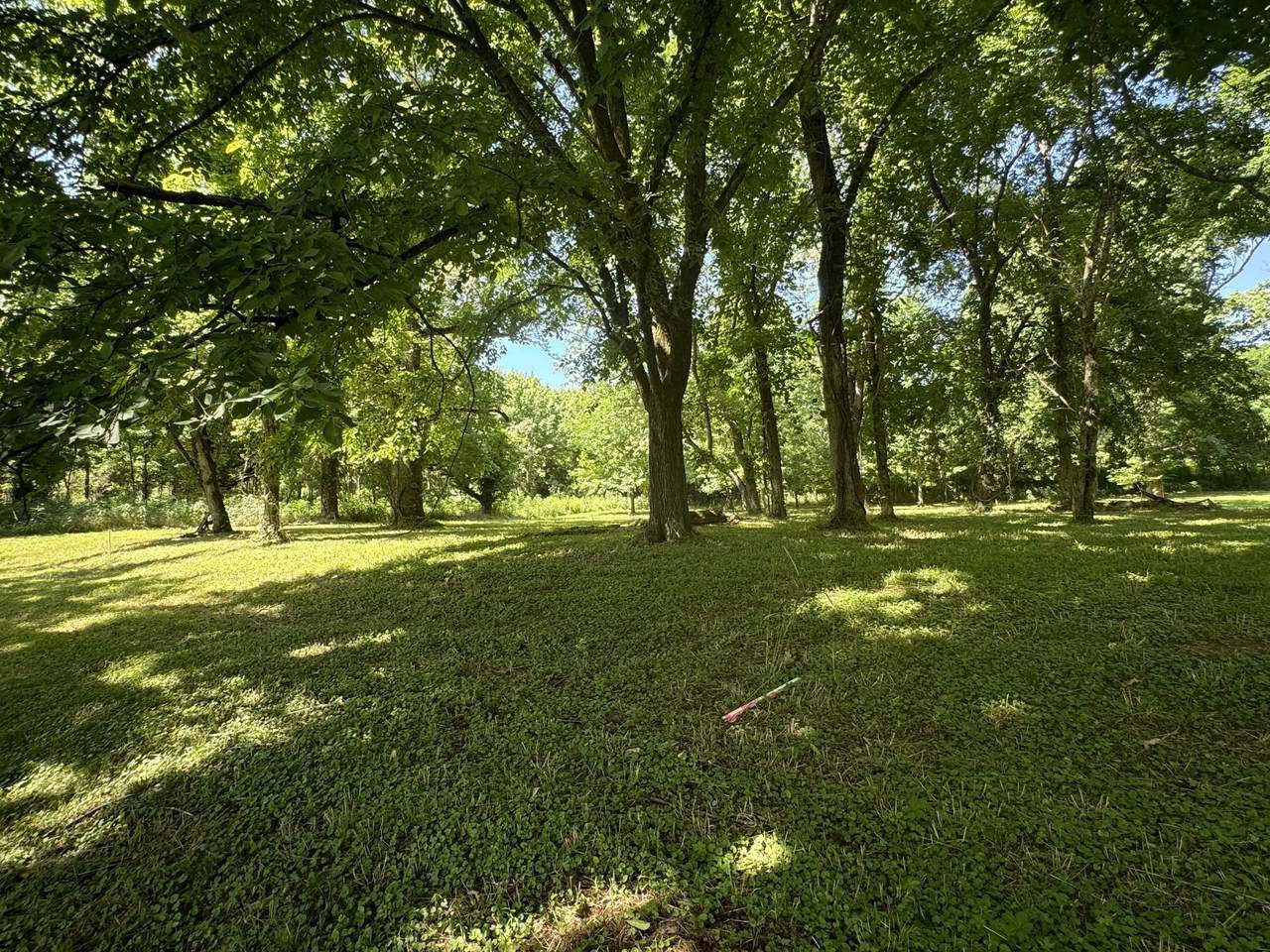 0 Sauger Dr - Photo 1