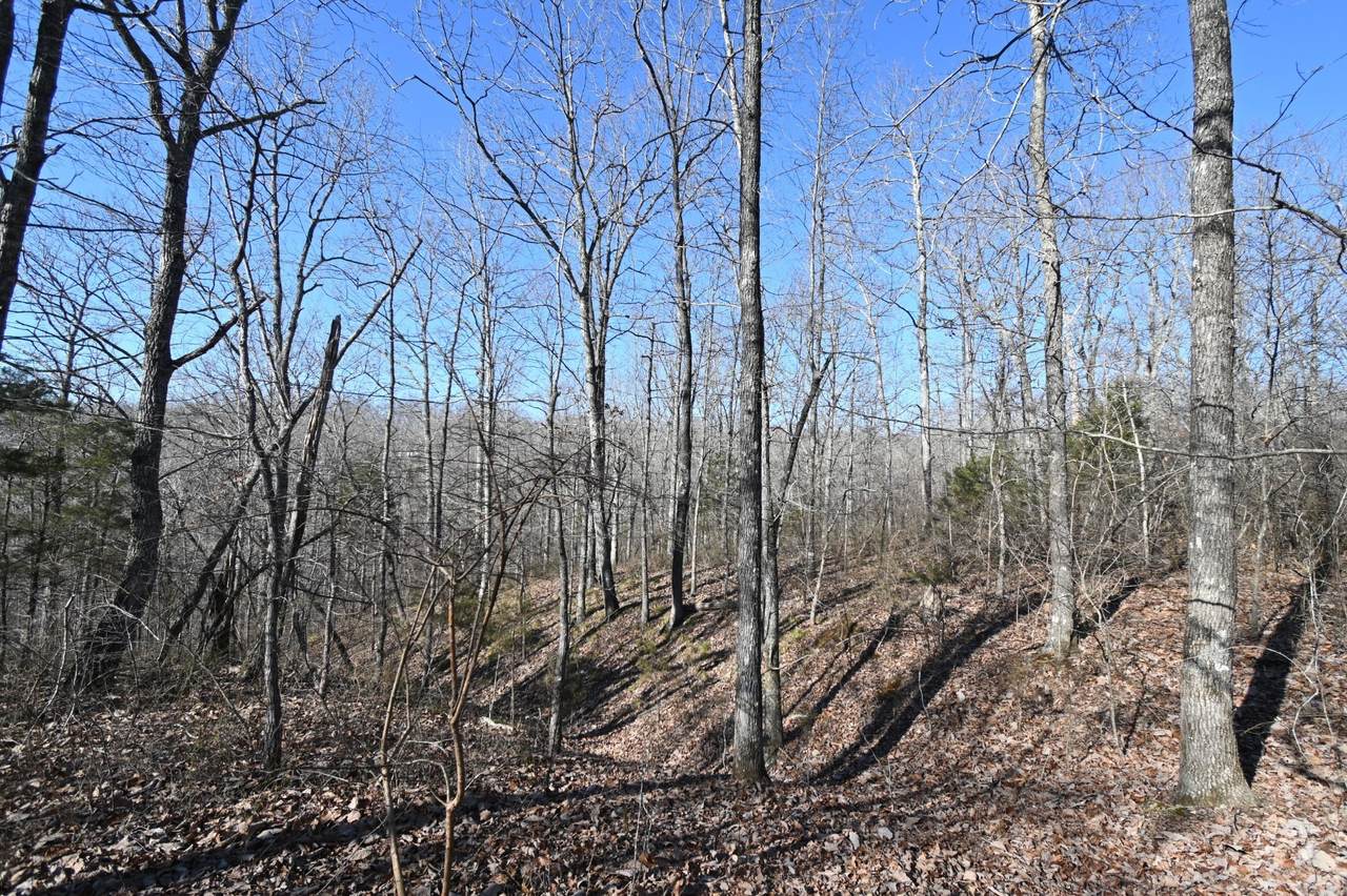 https://bt-photos.global.ssl.fastly.net/nashville/1280_boomver_1_RTC3148114-1.jpg