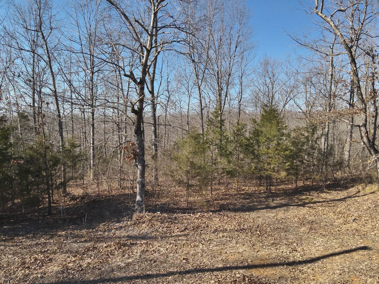 146 Wyatt Lane - Photo 1