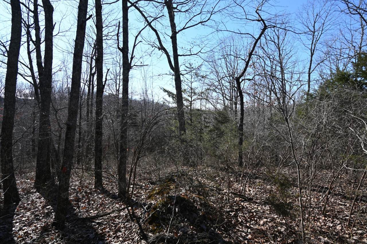 https://bt-photos.global.ssl.fastly.net/nashville/1280_boomver_1_RTC3148134-1.jpg