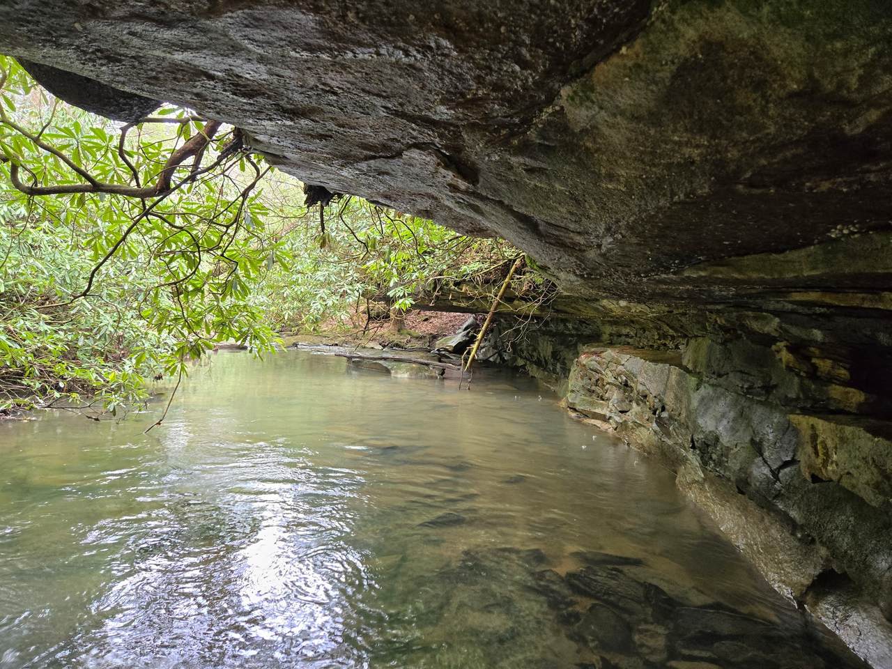 https://bt-photos.global.ssl.fastly.net/nashville/1280_boomver_1_RTC3148164-1.jpg