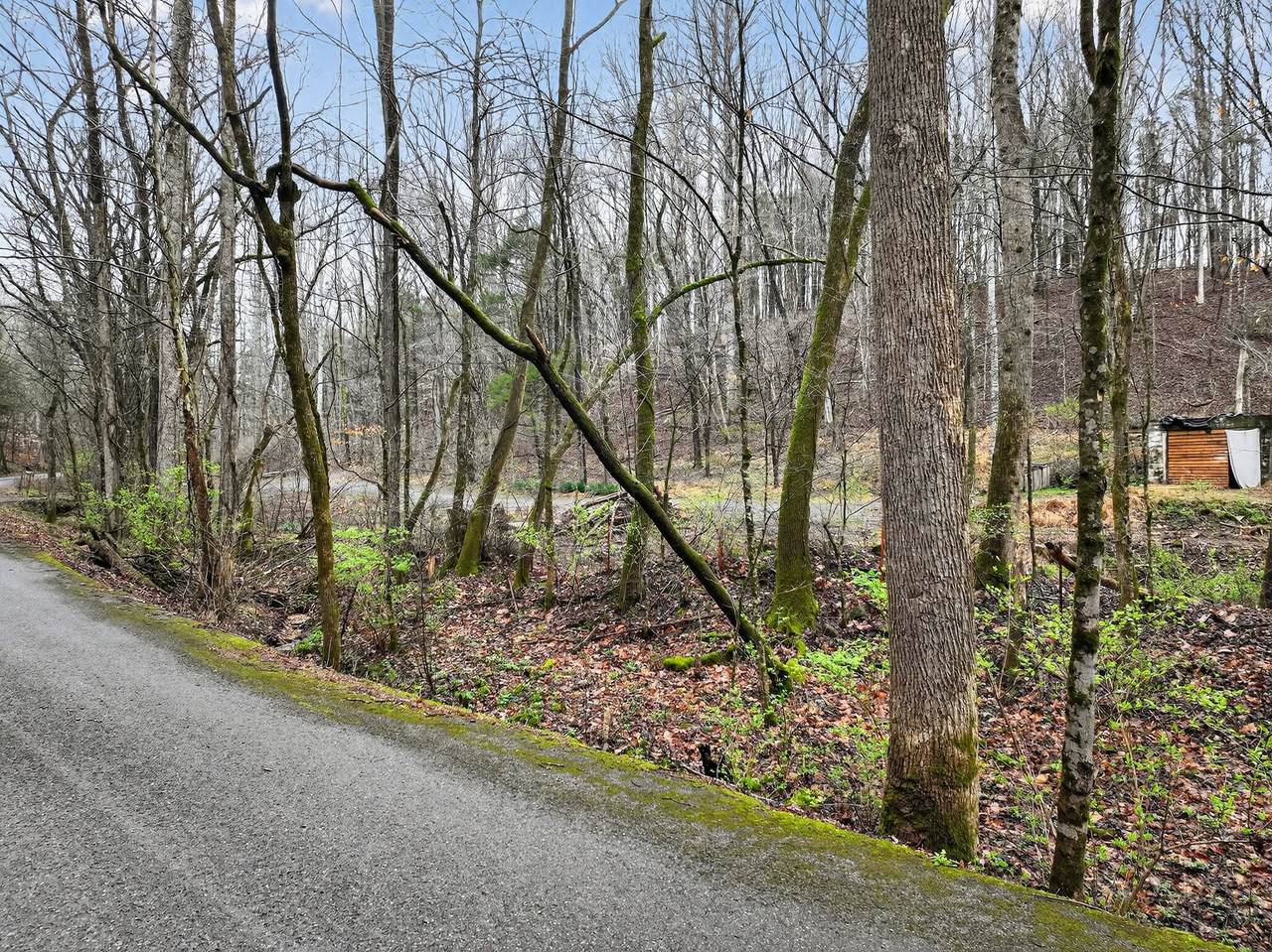 https://bt-photos.global.ssl.fastly.net/nashville/1280_boomver_1_RTC3148308-1.jpg