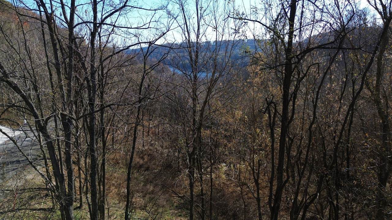 https://bt-photos.global.ssl.fastly.net/nashville/1280_boomver_1_RTC3148442-1.jpg