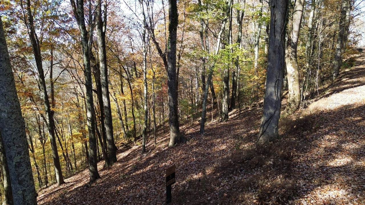 https://bt-photos.global.ssl.fastly.net/nashville/1280_boomver_1_RTC3148445-1.jpg