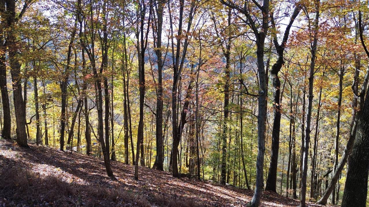 https://bt-photos.global.ssl.fastly.net/nashville/1280_boomver_1_RTC3148446-1.jpg