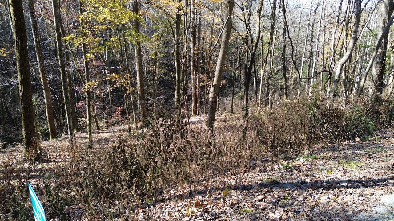 16 Lake View - Photo 1