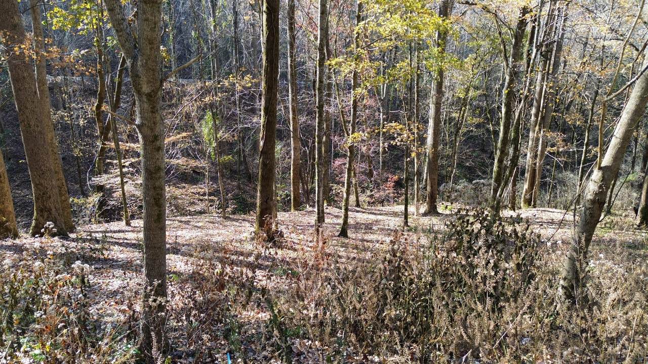 https://bt-photos.global.ssl.fastly.net/nashville/1280_boomver_1_RTC3148447-1.jpg