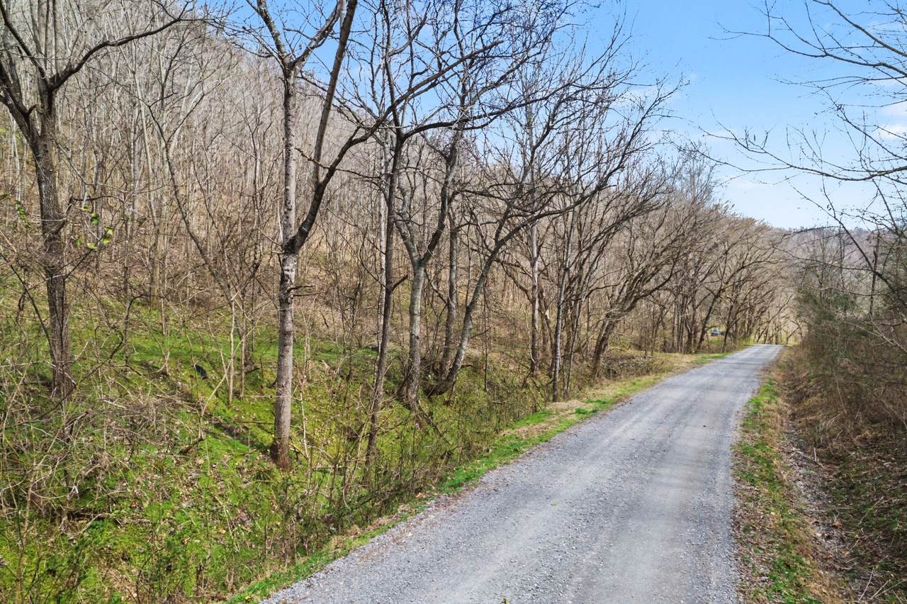 0 Buckeye Hollow Road - Photo 1