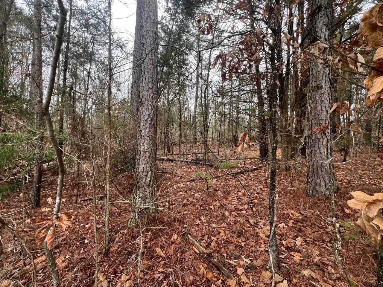 https://bt-photos.global.ssl.fastly.net/nashville/1280_boomver_1_RTC3148745-1.jpg