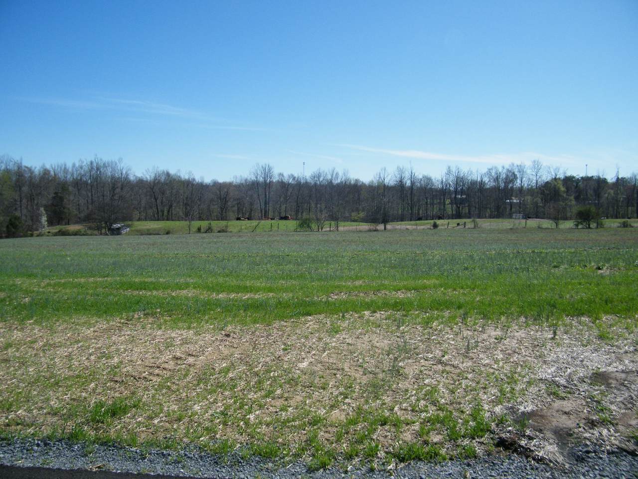 240 Daniel Lane - Photo 1