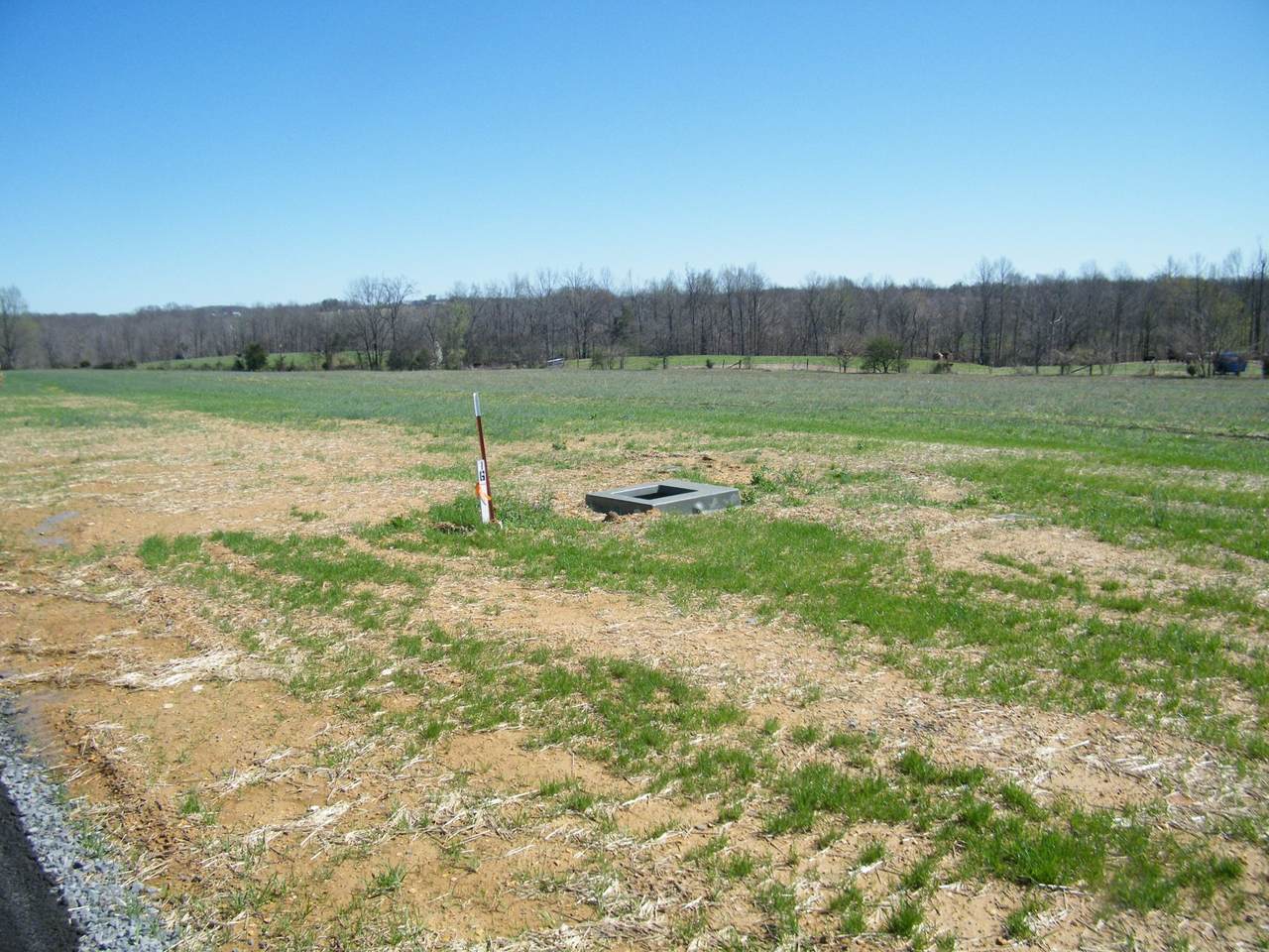 220 Daniel Lane - Photo 1