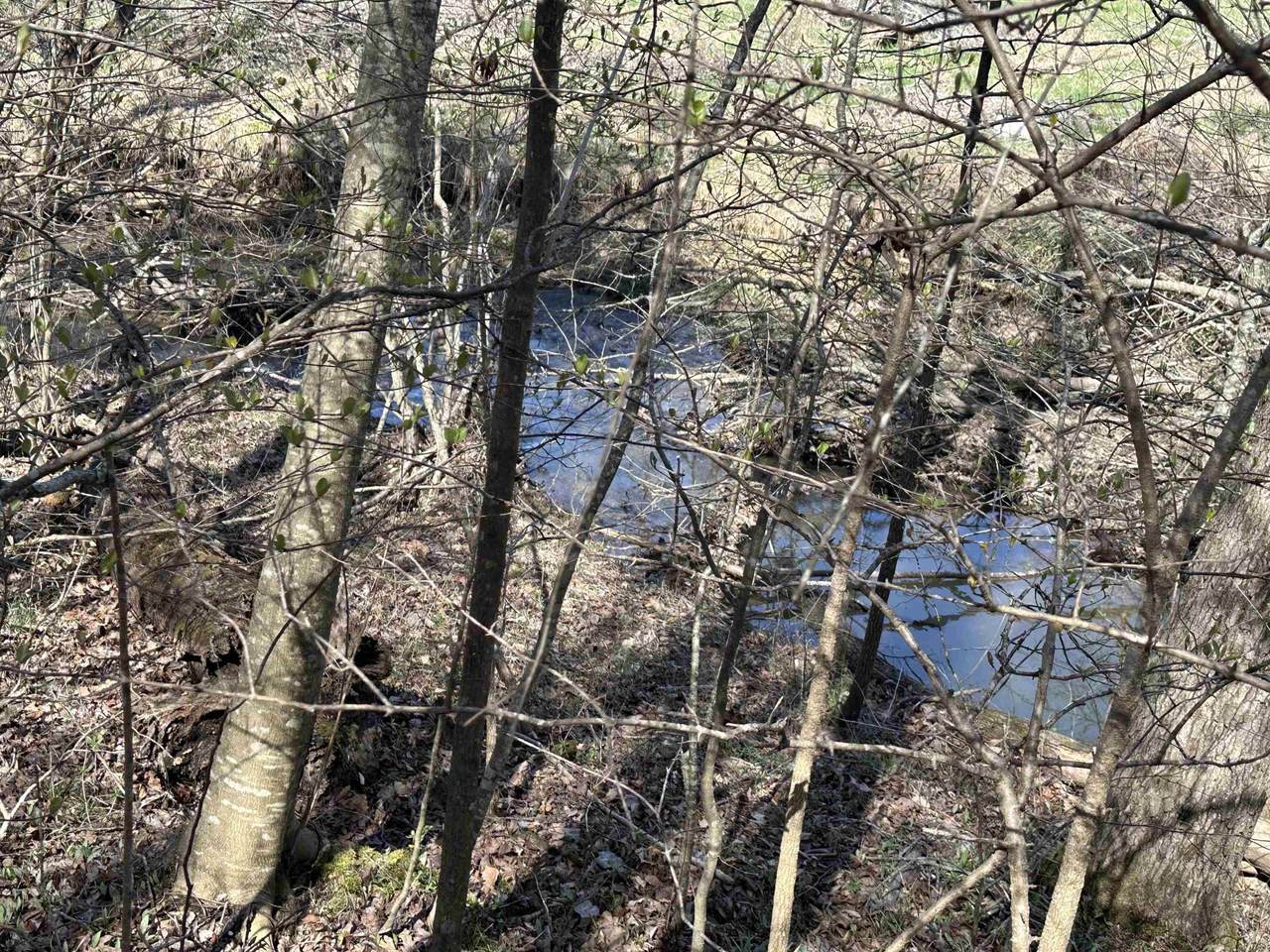 0 Poplar Springs Rd - Photo 1
