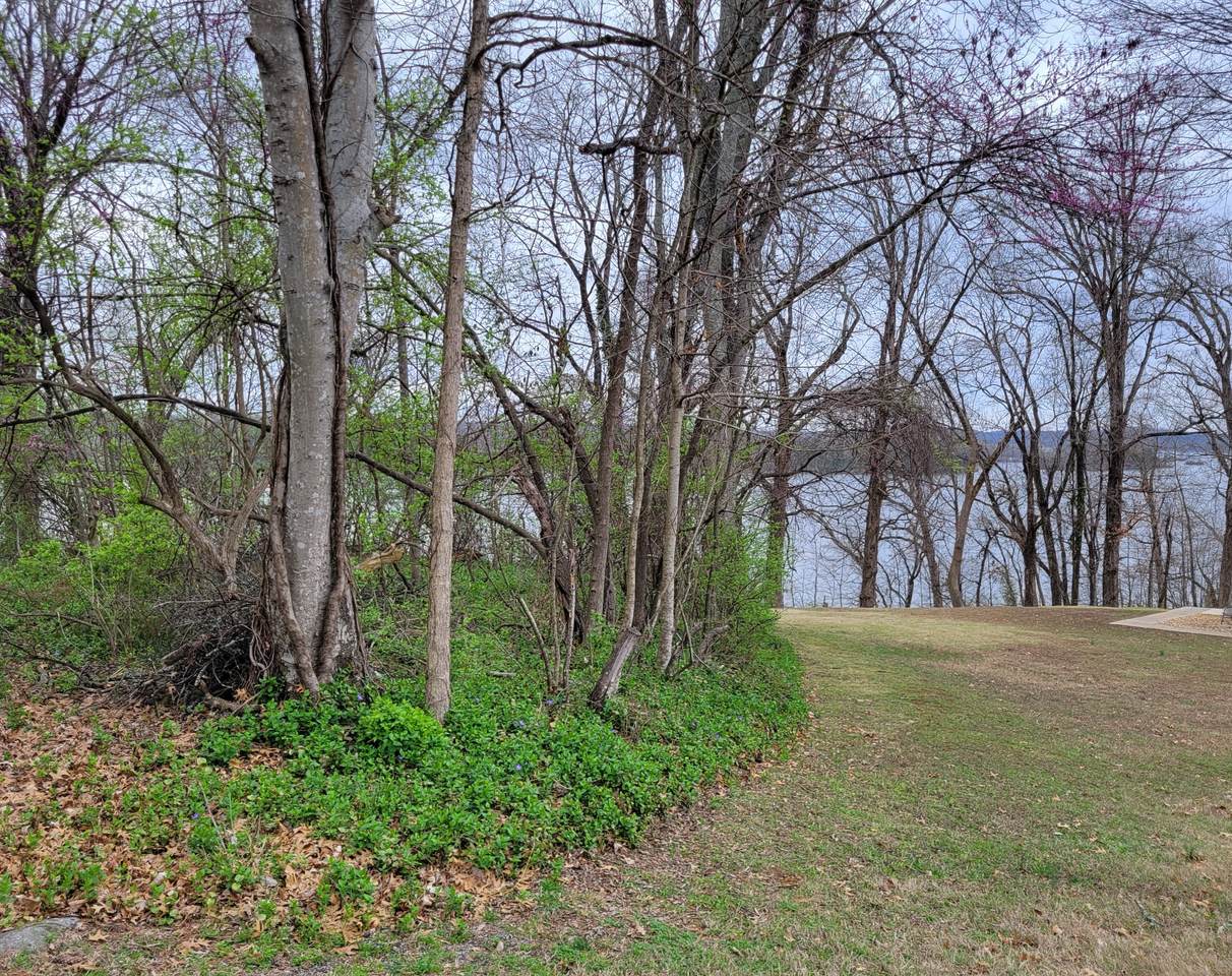 https://bt-photos.global.ssl.fastly.net/nashville/1280_boomver_1_RTC3149041-1.jpg