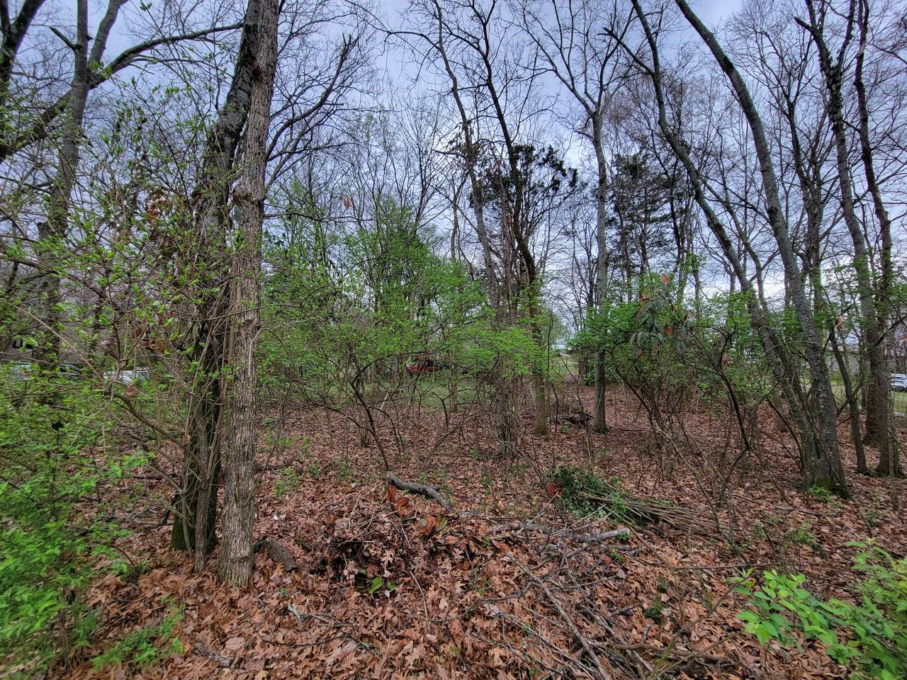 https://bt-photos.global.ssl.fastly.net/nashville/1280_boomver_1_RTC3149041-1.jpg