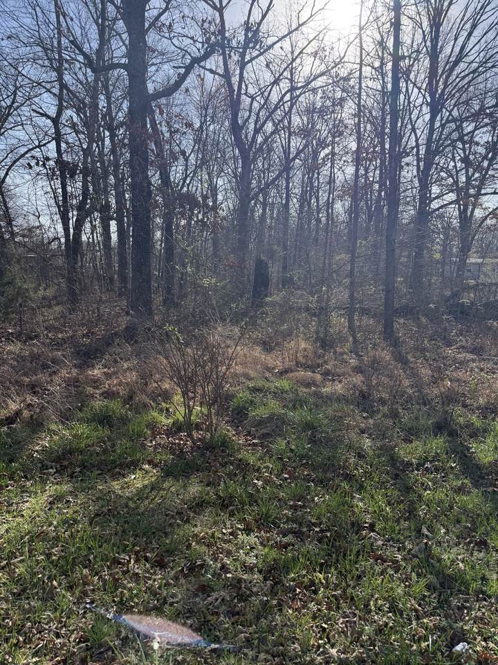 0 Cheyenne Cir - Photo 1