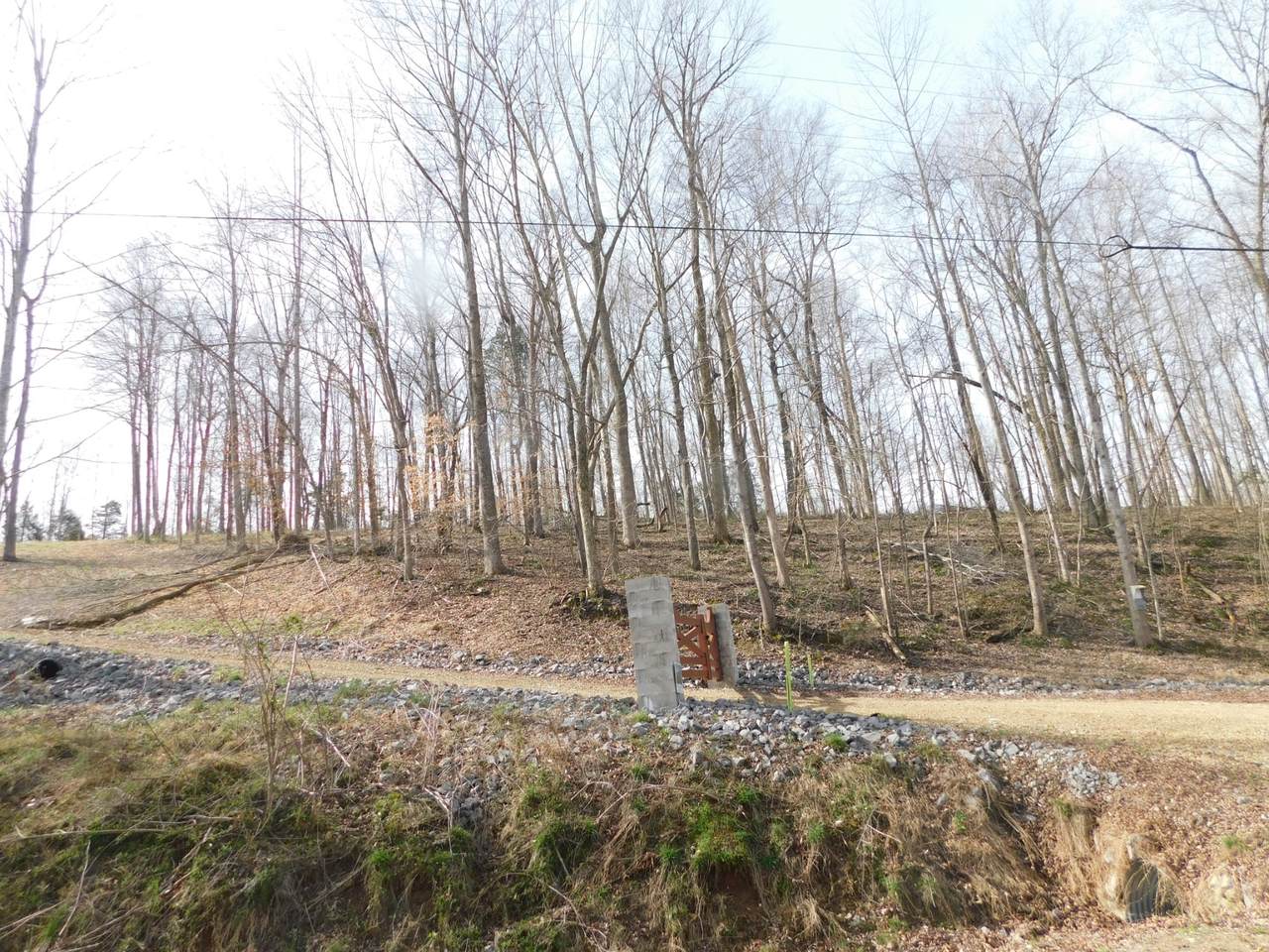 https://bt-photos.global.ssl.fastly.net/nashville/1280_boomver_1_RTC3149347-1.jpg