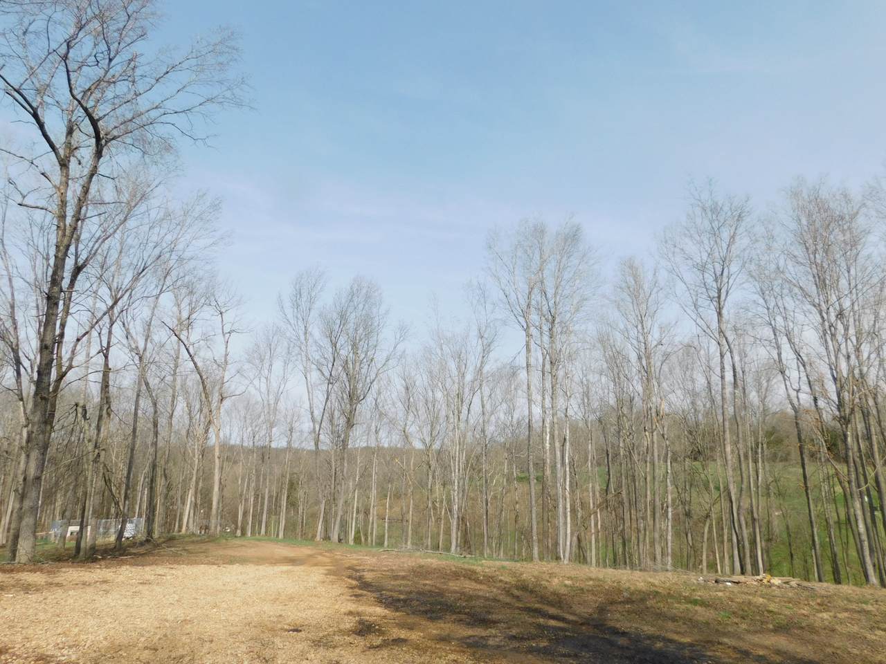 https://bt-photos.global.ssl.fastly.net/nashville/1280_boomver_1_RTC3149347-1.jpg