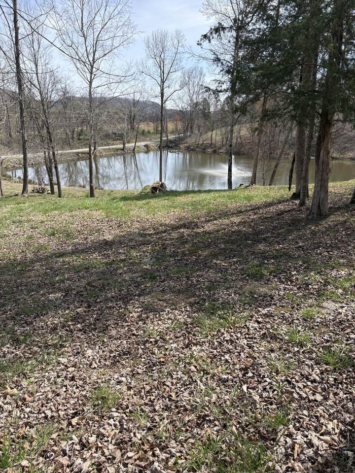 https://bt-photos.global.ssl.fastly.net/nashville/1280_boomver_1_RTC3149537-1.jpg