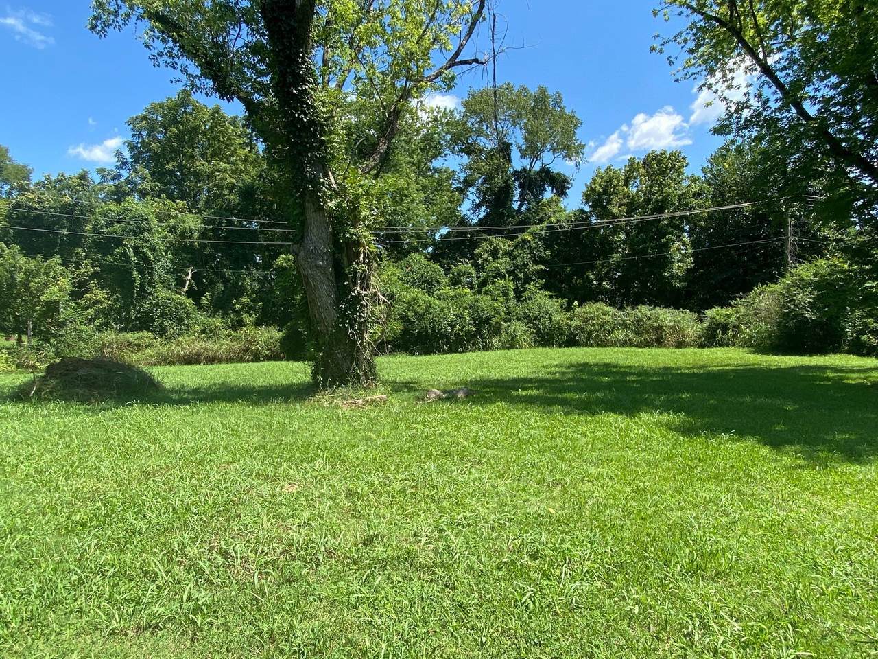 1019 Stafford St - Photo 1