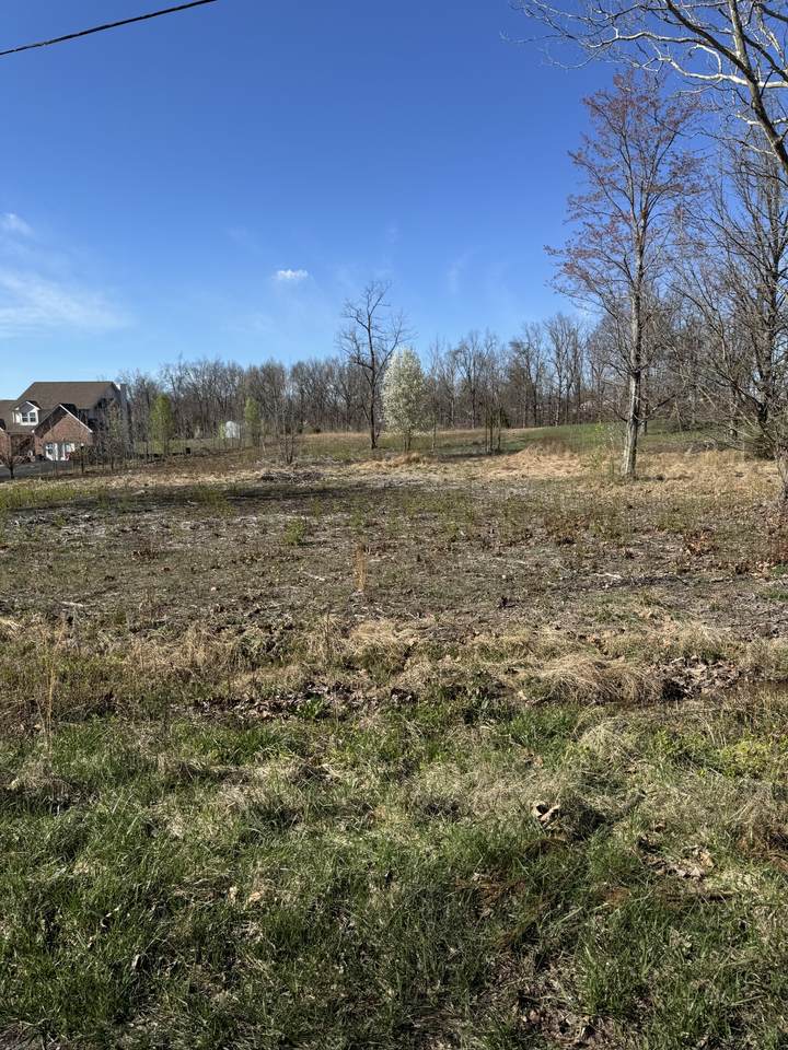 116 Angela Ln - Photo 1