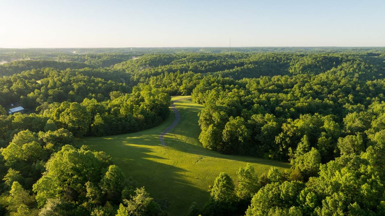 https://bt-photos.global.ssl.fastly.net/nashville/1280_boomver_1_RTC3149810-1.jpg
