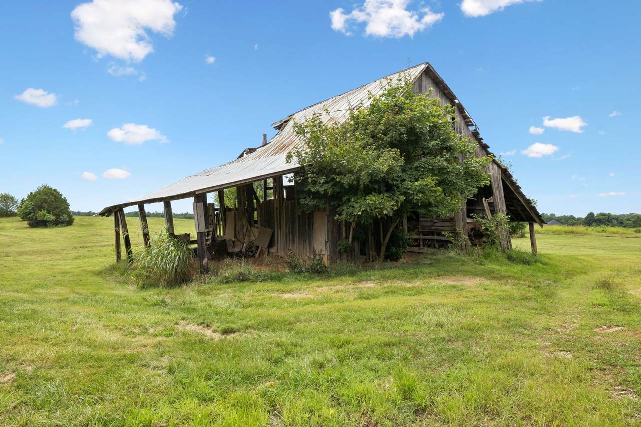 https://bt-photos.global.ssl.fastly.net/nashville/1280_boomver_1_RTC3150007-1.jpg