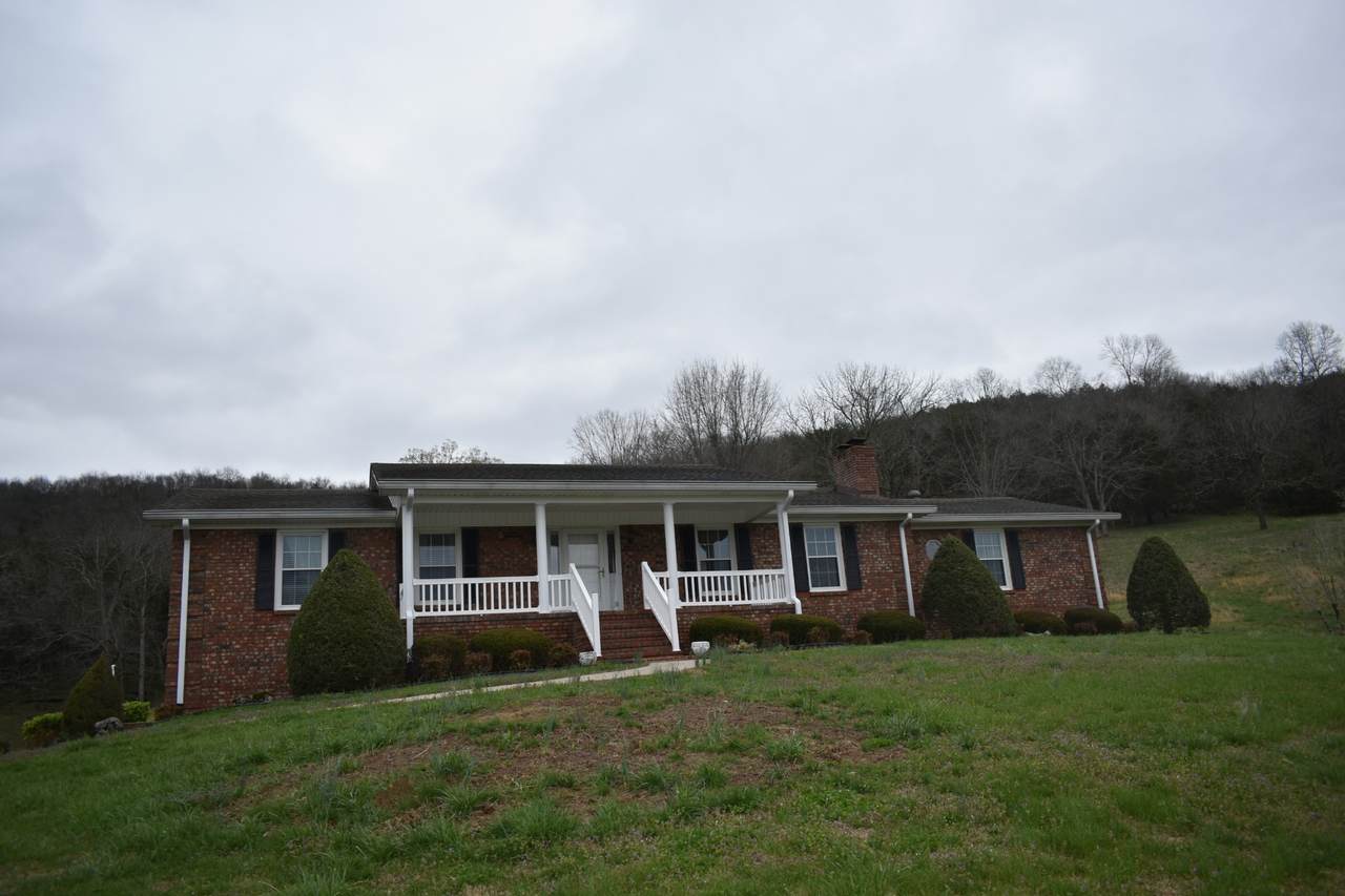 52 Plunketts Creek Cir - Photo 1