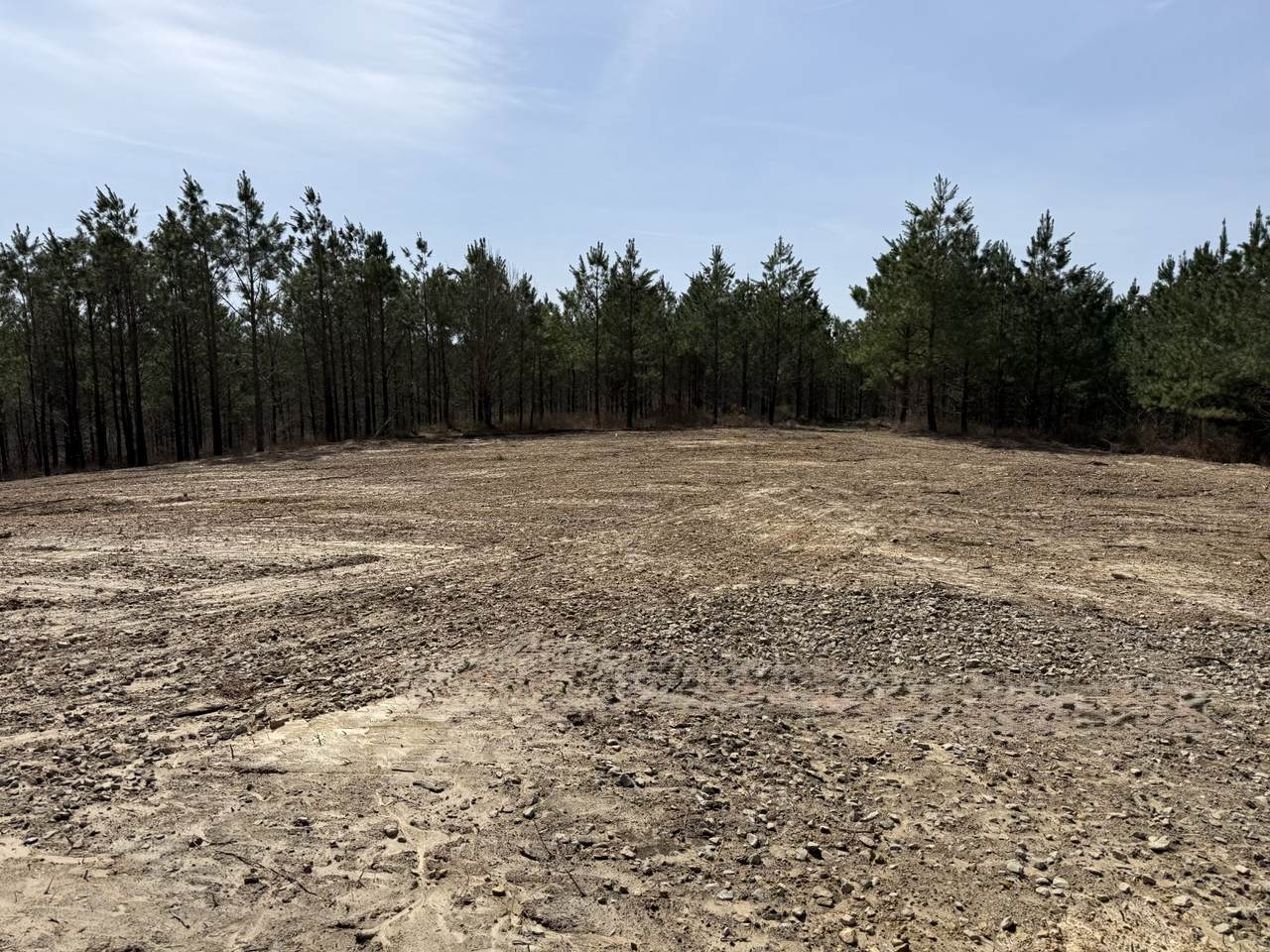 0 Hwy 231 - Photo 1